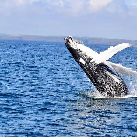 Casa de Férias The Loft At The Stables *