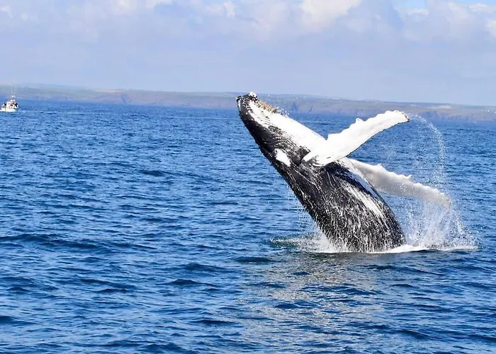 Nyaraló The Loft At The Stables *